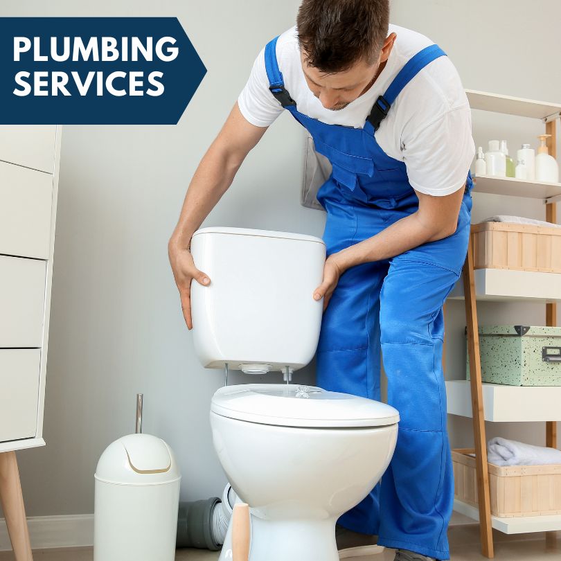 Plumbing Company in Grosse Ile, MI